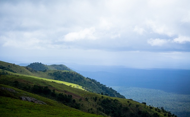 第十一届“民立杯”2024年上海市中小学生游泳冠军赛举行.