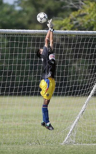 锋线核心的 锋线核心的