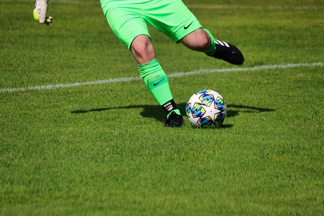 因其毅力和 因其毅力和