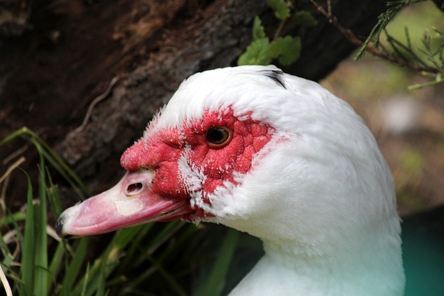湖南某小学 湖南某小学