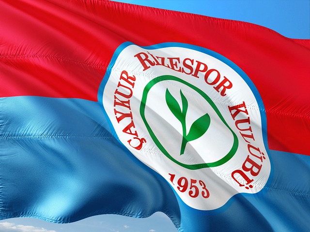 汤普森在关 汤普森在关